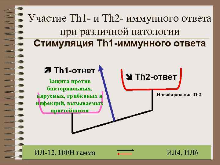 Участие Th 1 - и Th 2 - иммунного ответа при различной патологии Стимуляция