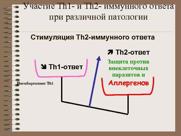 Участие Th 1 - и Th 2 - иммунного ответа при различной патологии Стимуляция