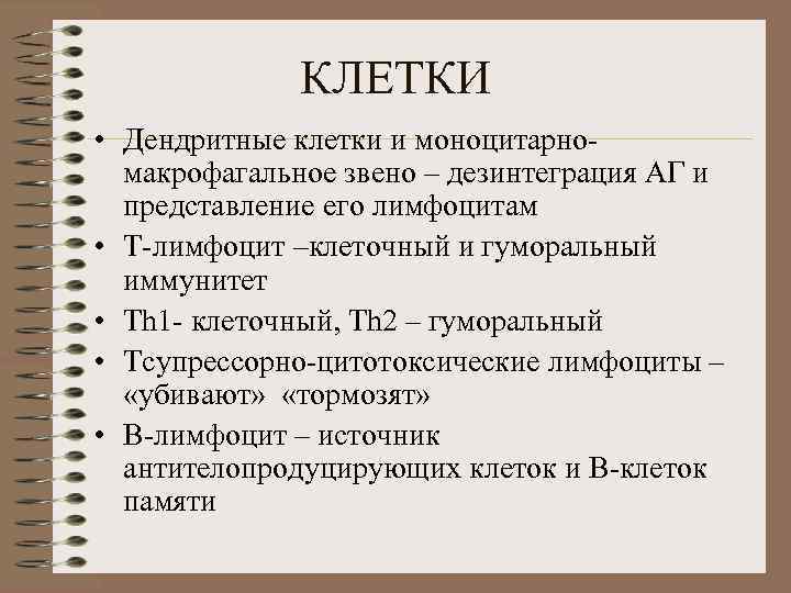 КЛЕТКИ • Дендритные клетки и моноцитарномакрофагальное звено – дезинтеграция АГ и представление его лимфоцитам