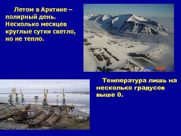 Летом в Арктике – полярный день. Несколько месяцев круглые сутки светло, но не тепло.