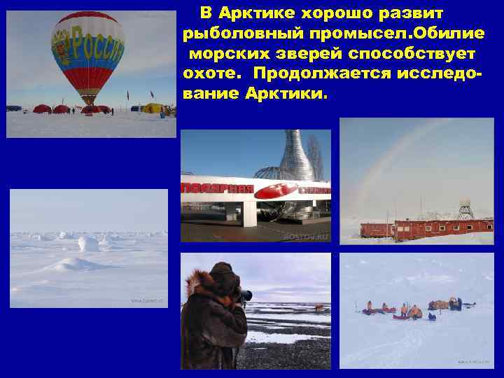 В Арктике хорошо развит рыболовный промысел. Обилие морских зверей способствует охоте. Продолжается исследование Арктики.