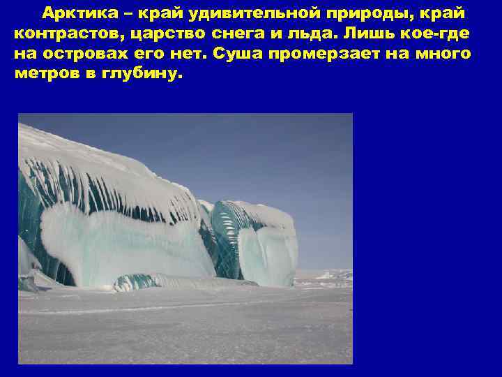 Арктика – край удивительной природы, край контрастов, царство снега и льда. Лишь кое-где на