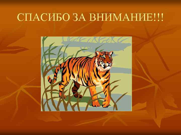 СПАСИБО ЗА ВНИМАНИЕ!!! 