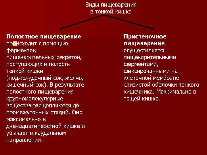 Виды пищеварения в тонкой кишке Полостное пищеварение происходит с помощью n ферментов пищеварительных секретов,