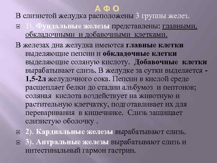  АФО В слизистой желудка расположены 3 группы желез. 1). Фундальные железы представлены: главными,