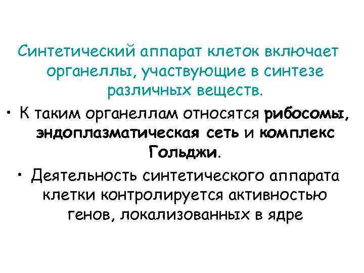 Синтетический аппарат клеток включает органеллы, участвующие в синтезе различных веществ. • К таким органеллам