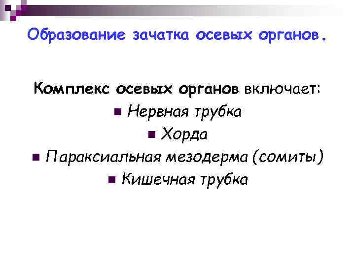 Образование зачатка осевых органов. Комплекс осевых органов включает: n Нервная трубка n Хорда n