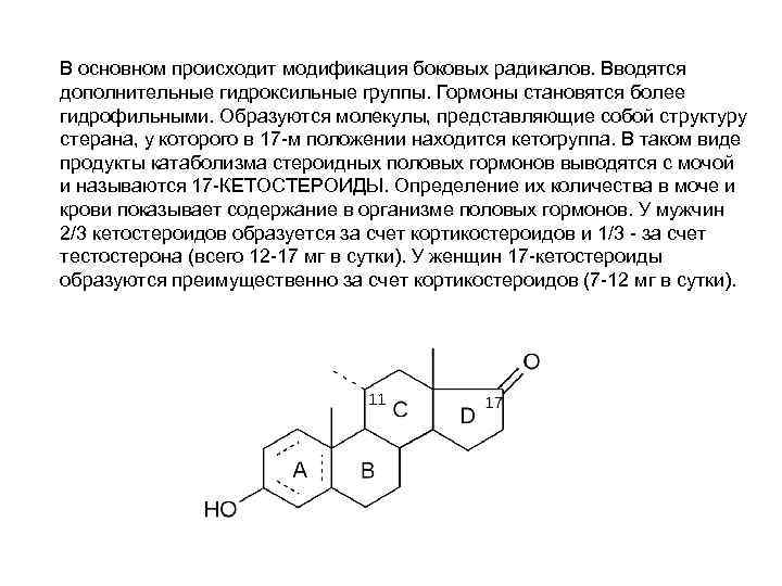 В основном происходит модификация боковых радикалов. Вводятся дополнительные гидроксильные группы. Гормоны становятся более гидрофильными.
