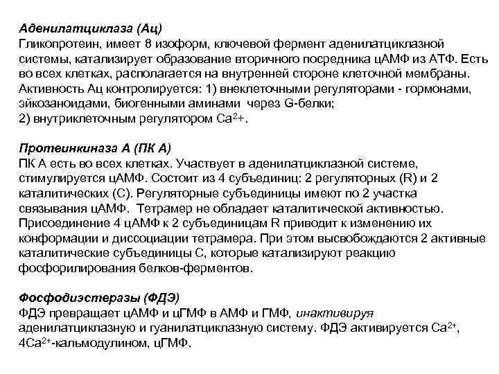 Аденилатциклаза (Ац) Гликопротеин, имеет 8 изоформ, ключевой фермент аденилатциклазной системы, катализирует образование вторичного посредника