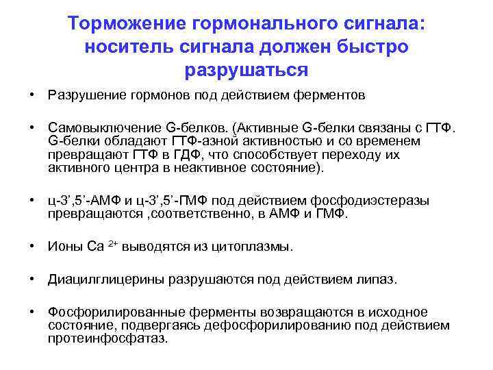 Торможение гормонального сигнала: носитель сигнала должен быстро разрушаться • Разрушение гормонов под действием ферментов