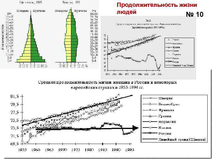 Продолжительность жизни людей № 10 