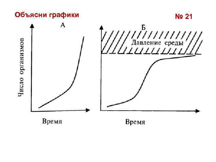 Объясни графики № 21 