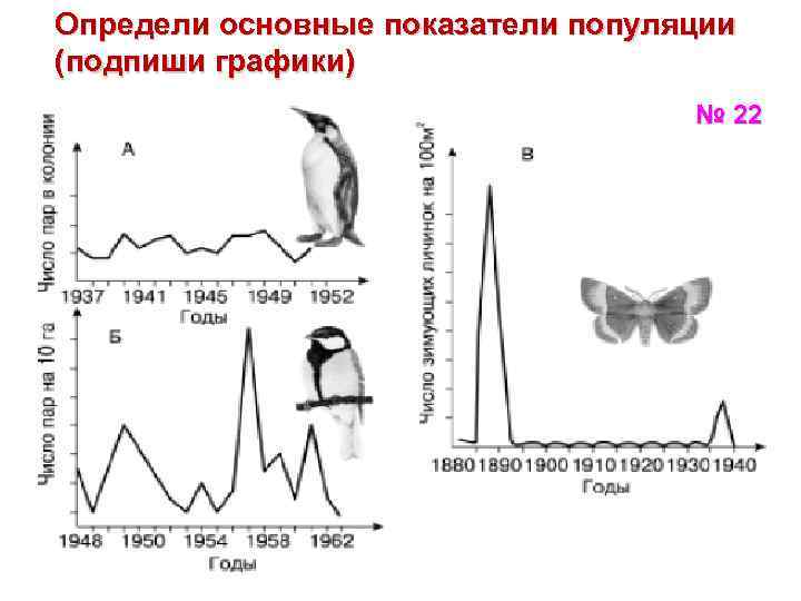 Определи основные показатели популяции (подпиши графики) № 22 