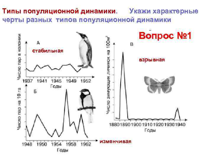 Типы популяционной динамики. Укажи характерные черты разных типов популяционной динамики Вопрос № 1 стабильная