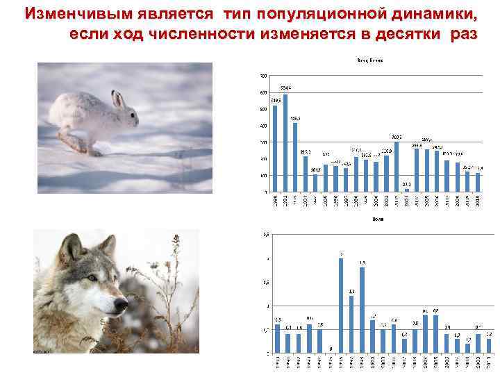Изменчивым является тип популяционной динамики, если ход численности изменяется в десятки раз 
