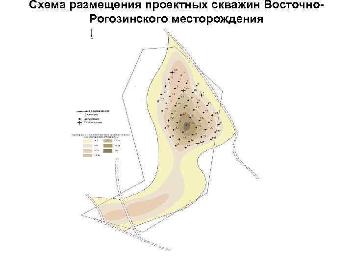 Схема размещения проектных скважин Восточно. Рогозинского месторождения 