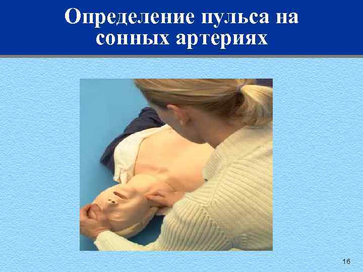 Определение пульса на сонных артериях 16 