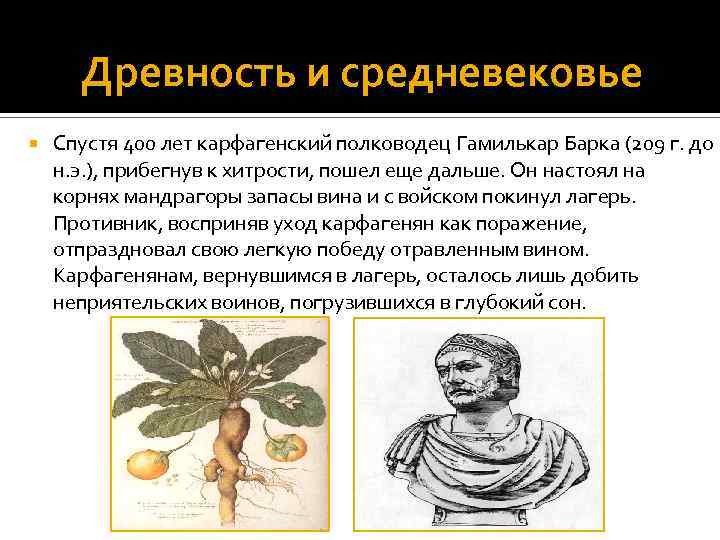 Древность и средневековье Спустя 400 лет карфагенский полководец Гамилькар Барка (209 г. до н.