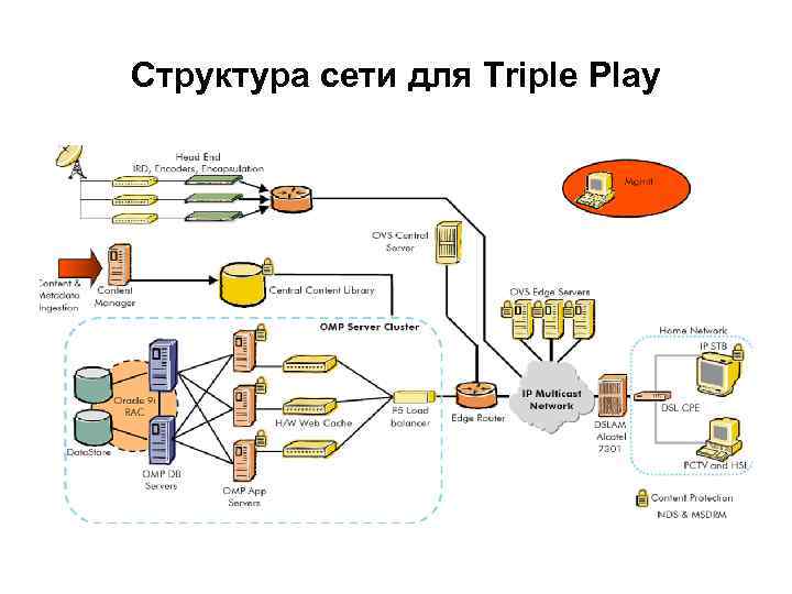 Структура сети для Triple Play 