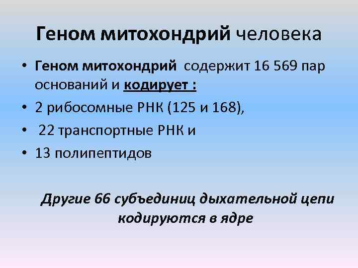 Геном митохондрий человека • Геном митохондрий содержит 16 569 пар оснований и кодирует :