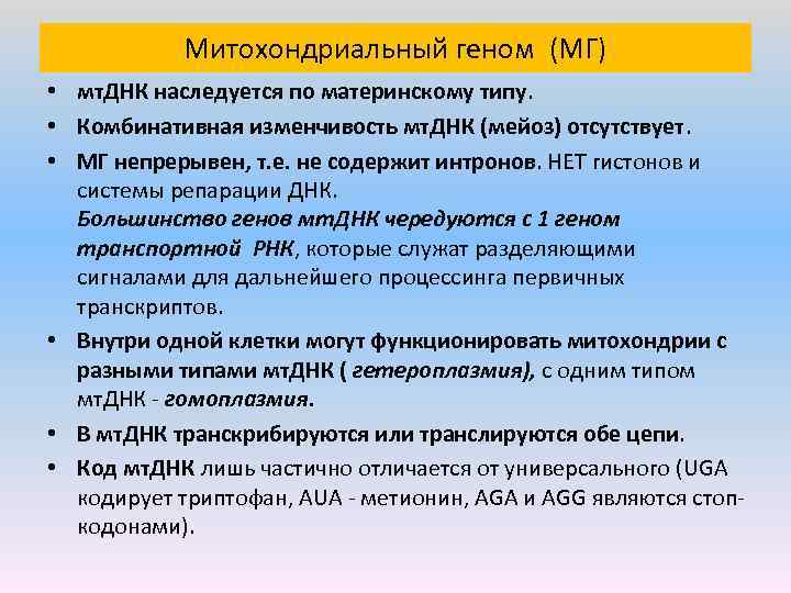 Митохондриальный геном (МГ) • мт. ДНК наследуется по материнскому типу. • Комбинативная изменчивость мт.