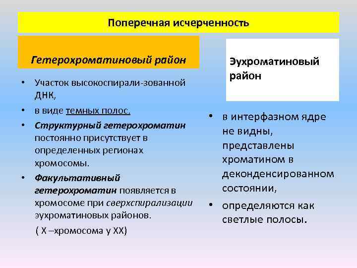 Факультативный гетерохроматин. Структурный и факультативный гетерохроматин. Структурный гетерохроматин это. Структурный гетерохроматин это в генетике.