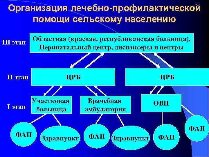 Организация лечебно профилактической помощи сельскому населению