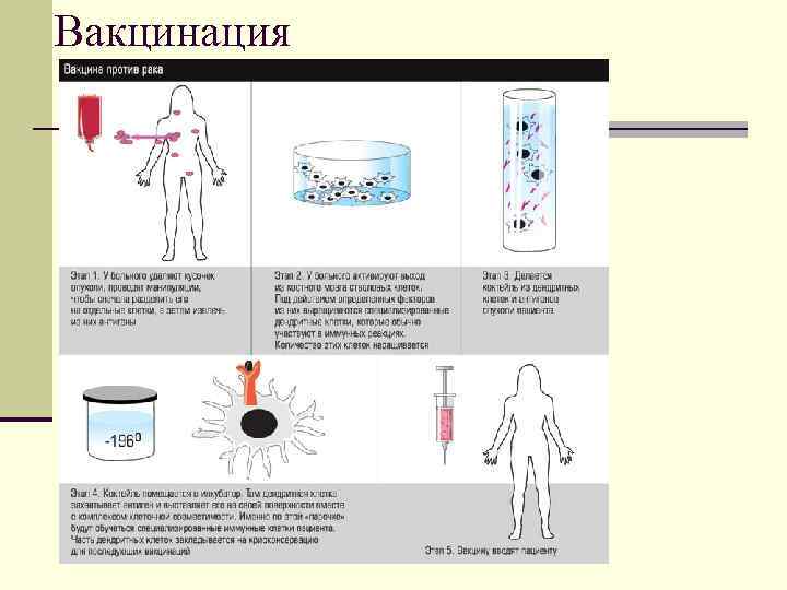 Вакцинация 