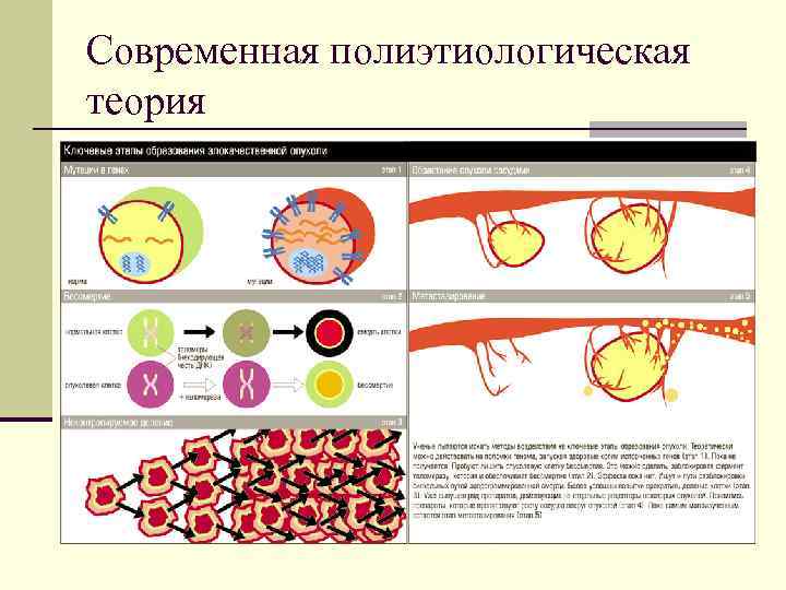 Современная полиэтиологическая теория 