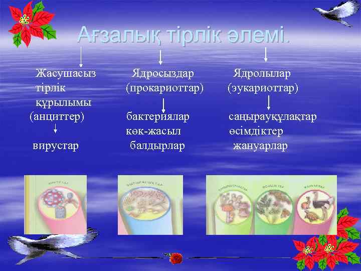 Ағзалық тірлік әлемі. Жасушасыз тірлік құрылымы (анциттер) вирустар Ядросыздар (прокариоттар) Ядролылар (эукариоттар) бактериялар көк-жасыл