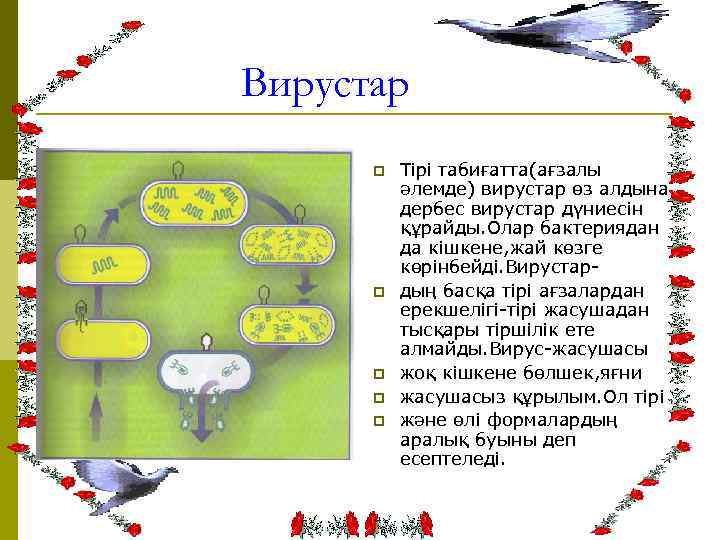 Вирустар p p p Тірі табиғатта(ағзалы әлемде) вирустар өз алдына дербес вирустар дүниесін құрайды.