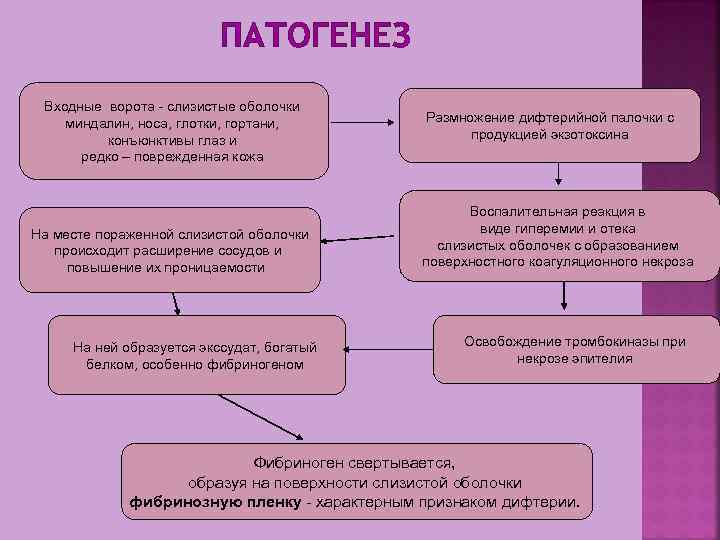 ПАТОГЕНЕЗ Входные ворота слизистые оболочки миндалин, носа, глотки, гортани, конъюнктивы глаз и редко –