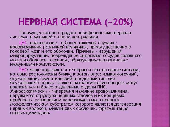 НЕРВНАЯ СИСТЕМА (~20%) Преимущественно страдает периферическая нервная система, в меньшей степени центральная. ЦНС: полнокровие,
