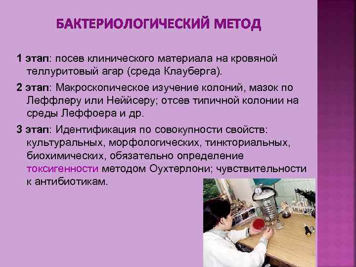 БАКТЕРИОЛОГИЧЕСКИЙ МЕТОД 1 этап: посев клинического материала на кровяной теллуритовый агар (среда Клауберга). 2