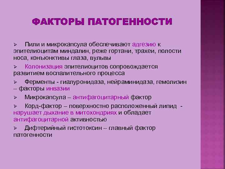 ФАКТОРЫ ПАТОГЕННОСТИ Пили и микрокапсула обеспечивают адгезию к эпителиоцитам миндалин, реже гортани, трахеи, полости
