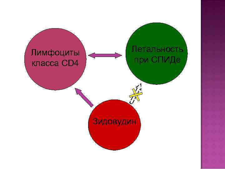 Лимфоциты класса CD 4 Летальность при СПИДе Зидовудин 