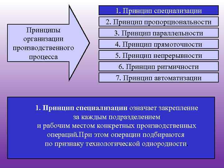 Принципы организации производственного процесса 1. Принцип специализации 2. Принцип пропорциональности 3. Принцип параллельности 4.