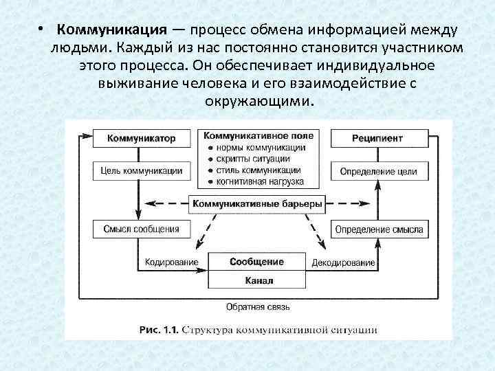 Коммуникативная структура текста