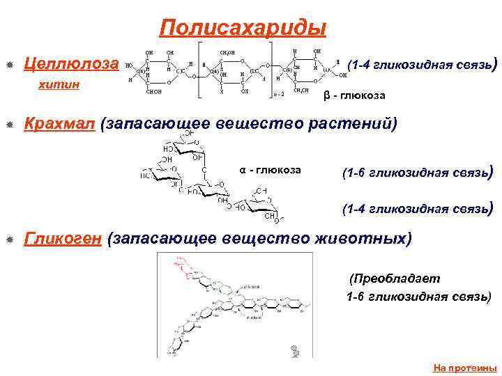 1 1 гликозидной связью. Химическое строение полисахаридов. Крахмал гликоген Целлюлоза строение. Полисахариды формула крахмала. Полисахариды формула Целлюлоза.