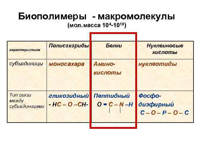 Биополимеры в медицине проект