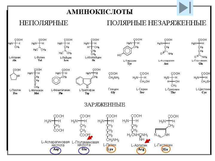 Альцгеймера) 