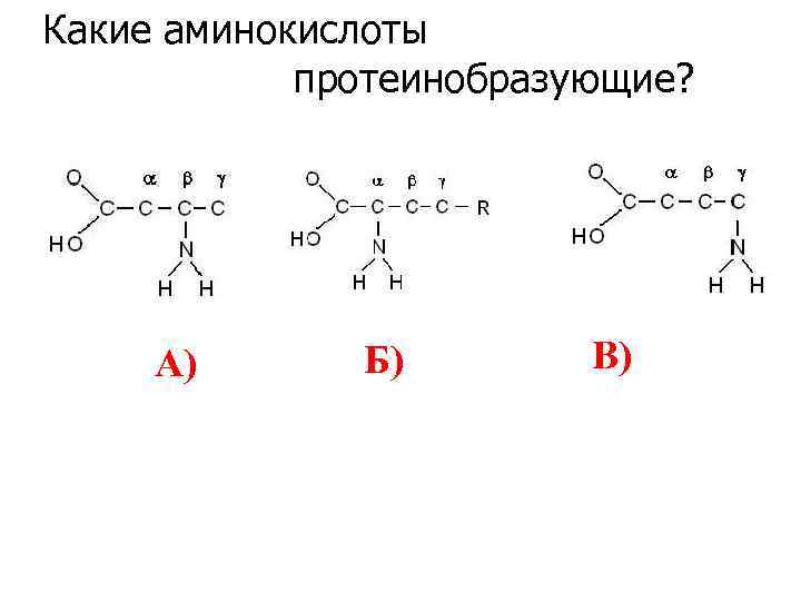 Какие аминокислоты протеинобразующие? A) Б) В) 