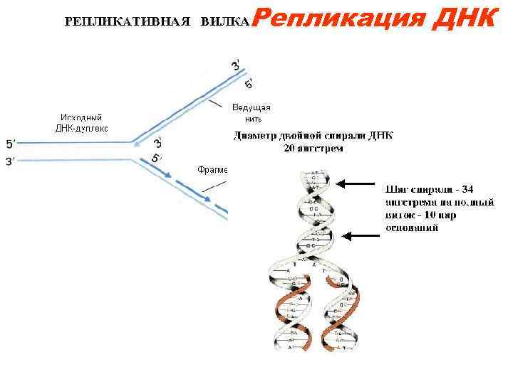 Схема репликации