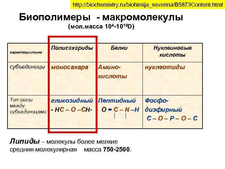 http: //biochemistry. ru/biohimija_severina/B 5873 Content. html Биополимеры - макромолекулы (мол. масса 104 -1010 D)