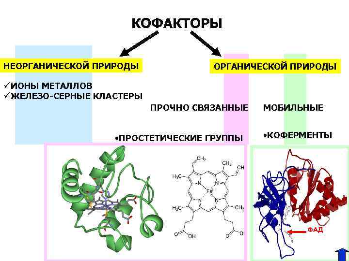 Органическая и неорганическая среда