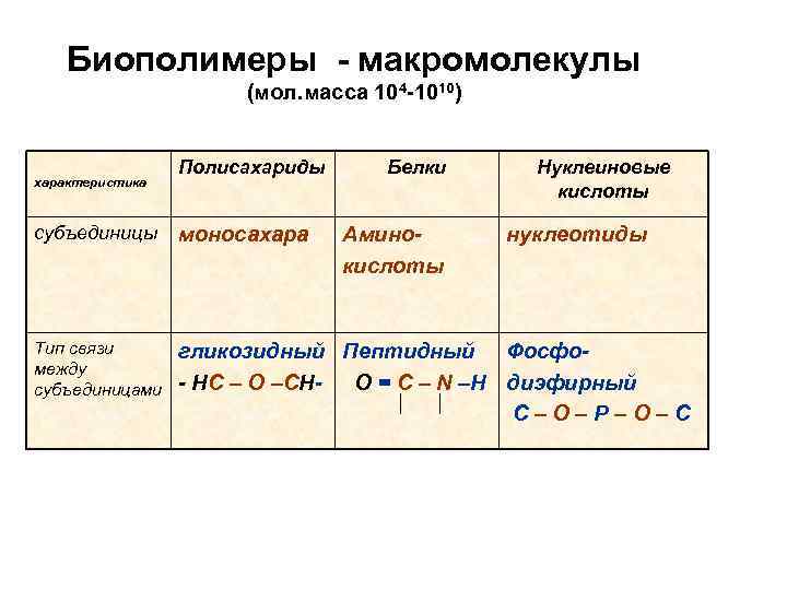 Биополимеры это. Свойства биополимеров. Биополимеры формула. Биополимеры примеры. Классификация биополимеров.