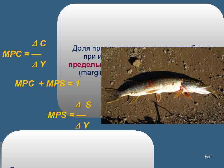  C MPC = –– Y Доля прироста расходов на потребление при изменении дохода