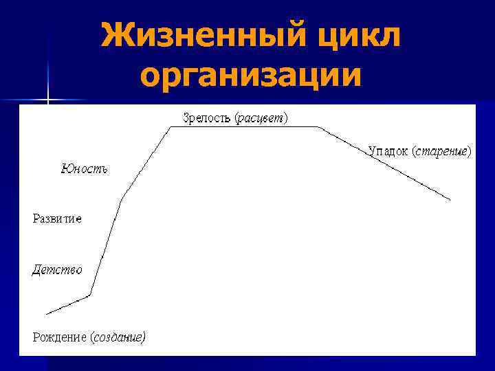 Жизненный цикл организации виды организаций