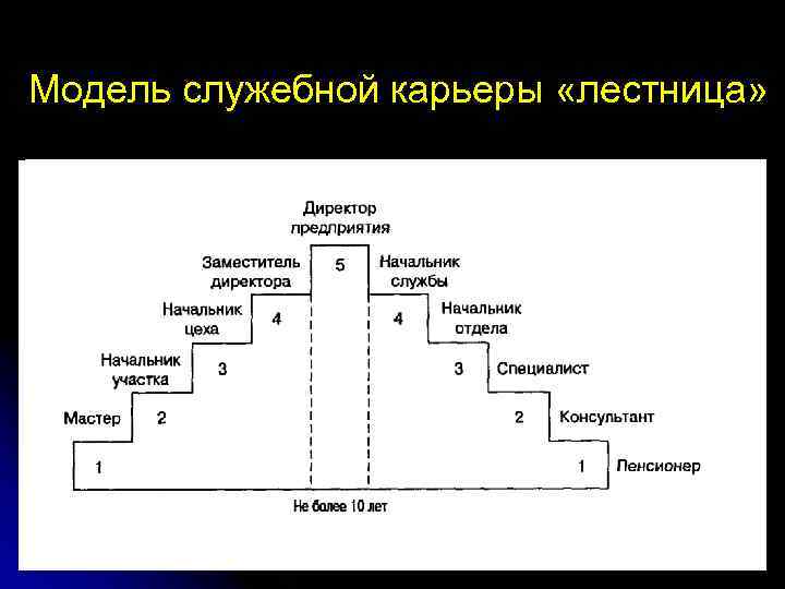 Служебная карьера лестница