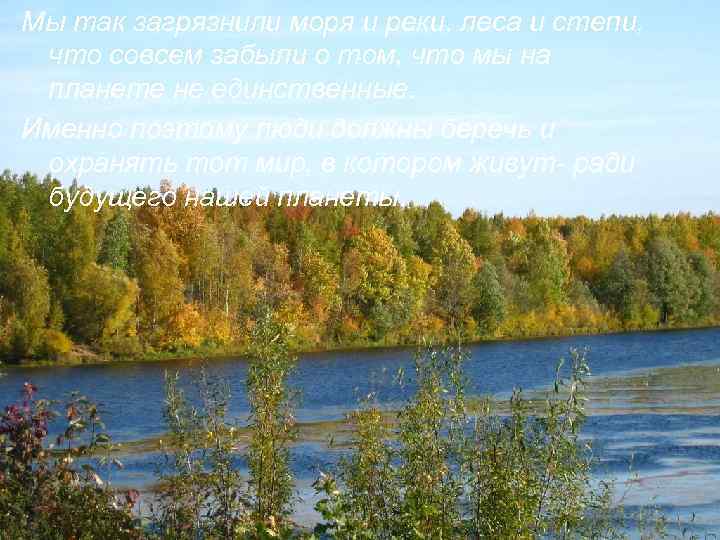 Мы так загрязнили моря и реки, леса и степи, . что совсем забыли о